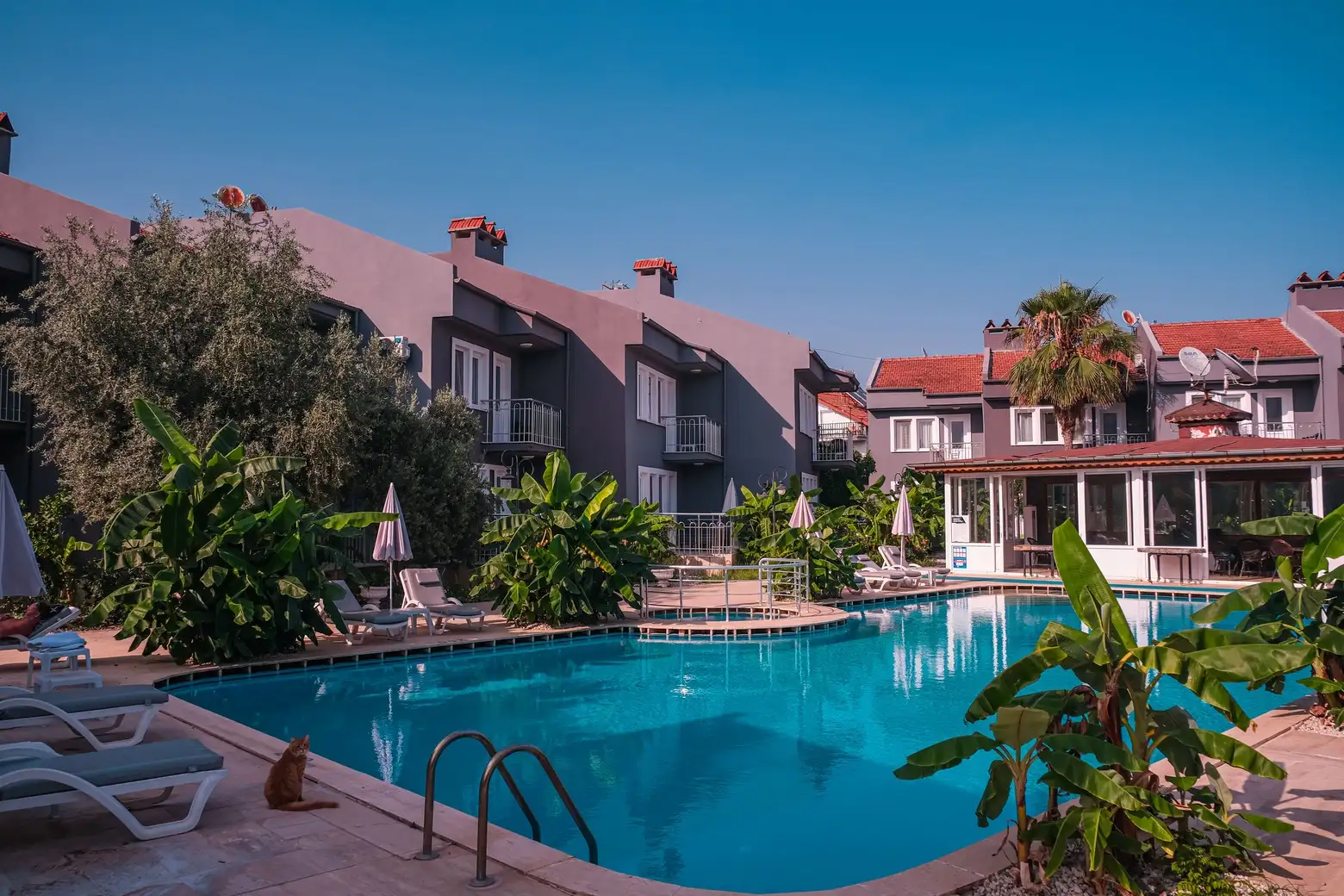 Özcem Apart Hotel — Swimming pool and garden